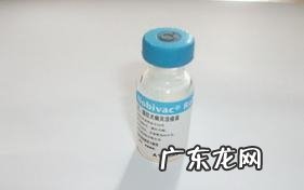 给犬接种疫苗能够防止什么疾病