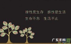 【抖音文案】让人开心的幽默句子十个字