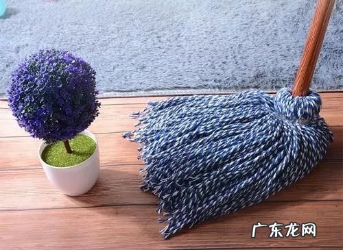 5种不同类型拖把分析 家用拖把哪一种比较好用