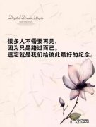 心灵鸡汤经典语录励志人生感悟短句 【抖音文案】经典语录伤感人生感悟短句