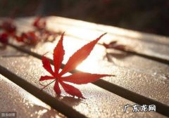 朋友现实又很扎心的句子 【抖音文案】现实又很扎心的句子