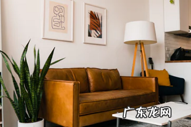 拼多多划线价是什么意思?商品竞价规则有哪些?