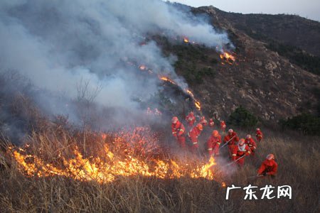 个人利益与集体利益冲突时怎么办?应该如何选择?