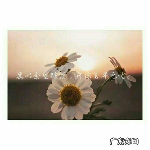 九月十月的句子短句唯美 【抖音文案】十月的句子短句唯美