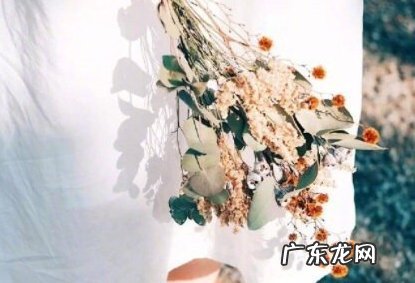 九月十月的句子短句唯美 【抖音文案】十月的句子短句唯美