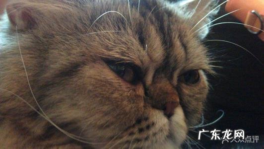 形容眼神很犀利的句子 【抖音文案】形容人的眼神犀利的句子