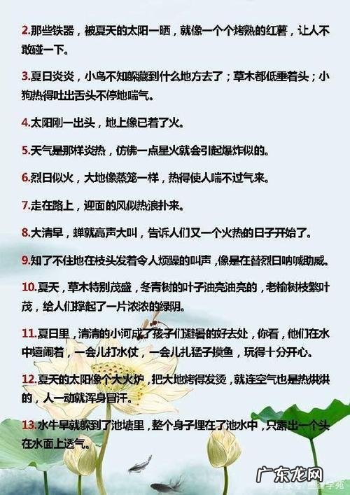 夏天优美语段句子摘抄 【抖音文案】夏天的优美语段摘抄