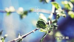 形容夏天的句子唯美三年级 【抖音文案】形容夏天的句子唯美