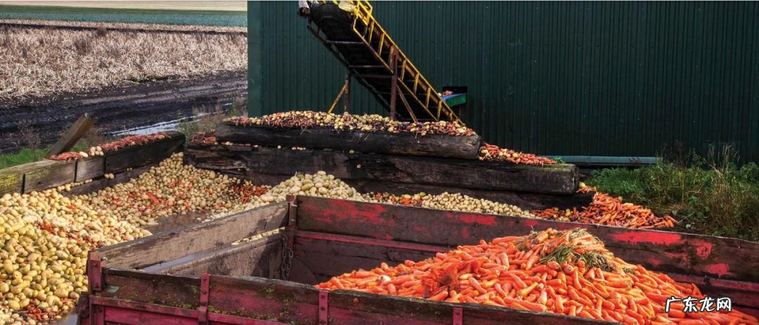 15个减碳方法措施 减少碳排放有哪些措施