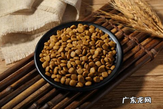 给小狗狗换犬粮是不是会拉肚子