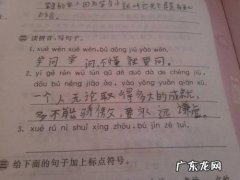 【抖音文案】写一句关于友情的佳句