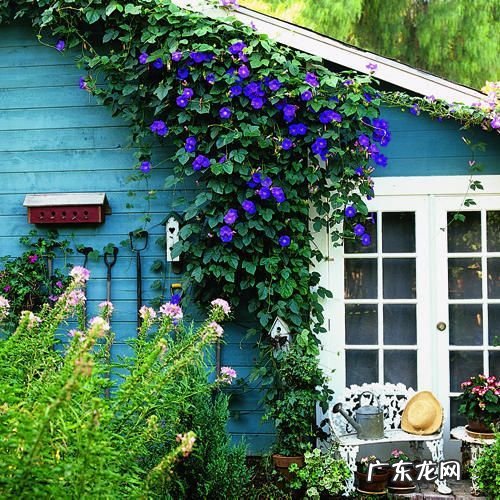 有关时光流逝的唯美句子 【抖音文案】幽默爆笑时光流逝句子