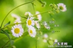 抖音句句深入人心经典句子 【抖音文案】句句深入人心经典短句子