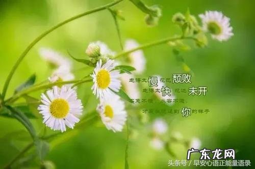 抖音句句深入人心经典句子 【抖音文案】句句深入人心经典短句子