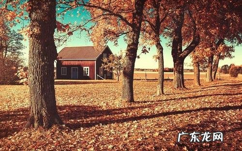 秋天的唯美意境句子 【抖音文案】描写秋天唯美意境的句子