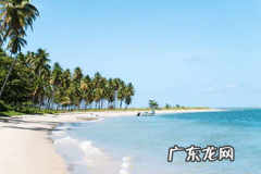 拼多多怎么样退店 拼多多退店后还能重新开店么？退店条件是什么？拼多多已经退店的店铺怎