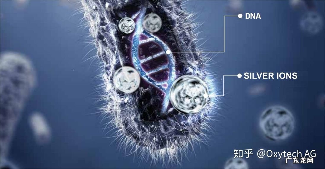银离子杀菌的缺点 银离子杀菌对身体有害吗