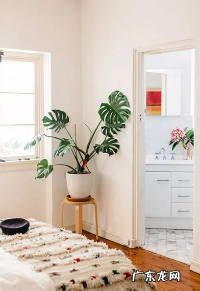 装修甲醛怎么快速去除?聪明人都用了这3个“小妙招”