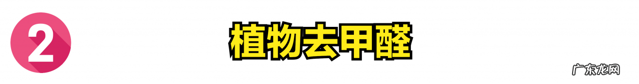 装修甲醛怎么快速去除?聪明人都用了这3个“小妙招”