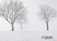 描写春天景色的优美短句摘抄 【抖音文案】描写冬天景色优美的短句