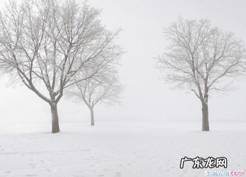 描写春天景色的优美短句摘抄 【抖音文案】描写冬天景色优美的短句