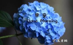 关于11月的优美句子都有什么 【抖音文案】关于11月的优美句子