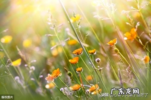 喝酒交朋友的经典句子 【抖音文案】交朋友感悟经典句子