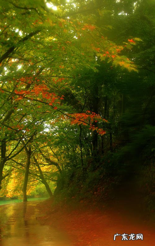 关于描写秋天的优美句子大全 【抖音文案】秋意浓浓的优美句子