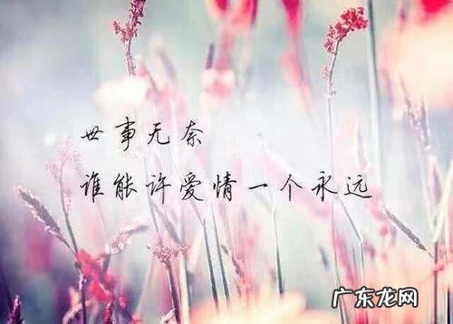 快乐的句子说说心情 【抖音文案】适合自己的心情说说句子