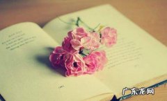 雨天的句子短句唯美摘抄 【抖音文案】夏天的句子短句唯美摘抄