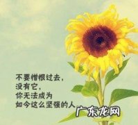 形容风景的唯美句子大全 【抖音文案】风景形容人生句子大全