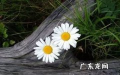 一月再见二月你好的说说励志 一月再见二月你好的说说