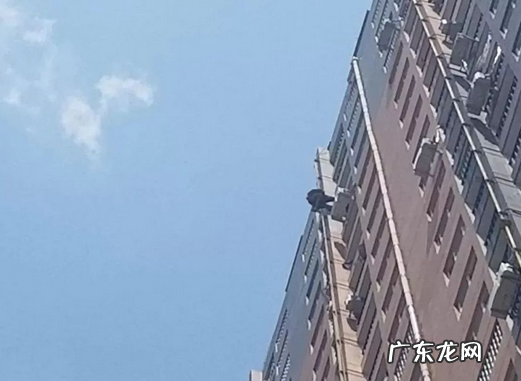 房屋出租信息发布注意事项 自如租房怎么样靠谱吗