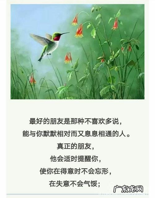 珍惜朋友的唯美句子 【抖音文案】表示很珍惜朋友的句子