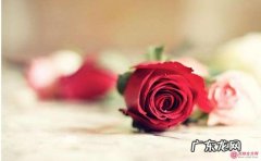 朋友圈晒花的唯美句子 【抖音文案】适合发朋友圈唯美句子