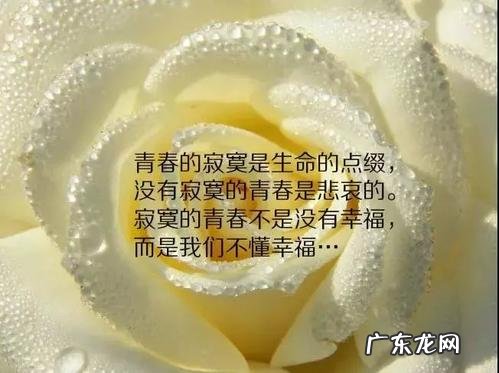 人生感悟的句子 【抖音文案】写人生感悟的短句子