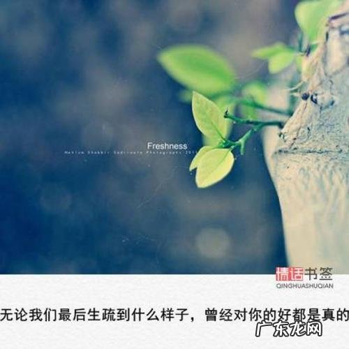 秋天的句子短句唯美 【抖音文案】关于风的唯美句子短句