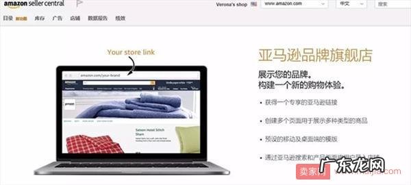 全方位解读亚马逊品牌旗舰店
