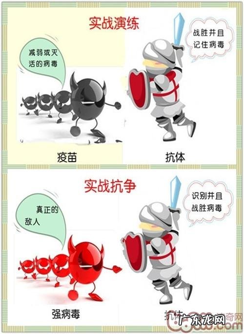 免疫系统—为犬猫身心健康服务保障