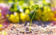 表达心情愉快的句子发朋友圈短句 【抖音文案】表达心情愉快的句子发朋友圈