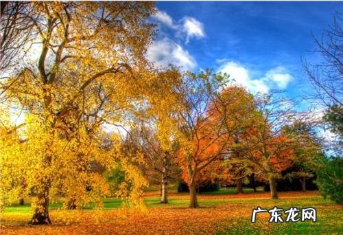 描写秋天景色的优美句子短句 【抖音文案】描写秋天景色的优美短句