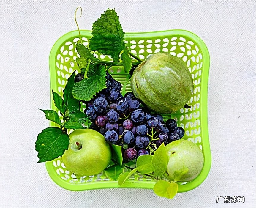 电商冷链物流业是什么?有什么特点?