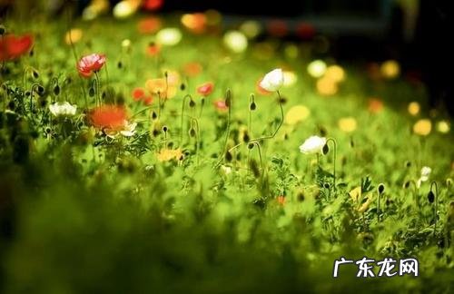 山清水秀风景优美句子 【抖音文案】风景优美的句子十个字