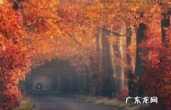 形容时间飞逝的优美句子 【抖音文案】写时间飞逝的优美句子长