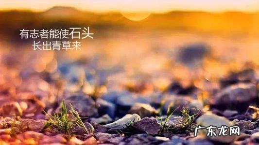 最新早安励志正能量霸气句子 【抖音文案】励志正能量霸气的句子