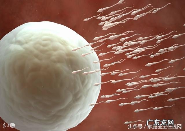 夏季备孕技巧与注意事项-35岁以上的女性该如何备孕