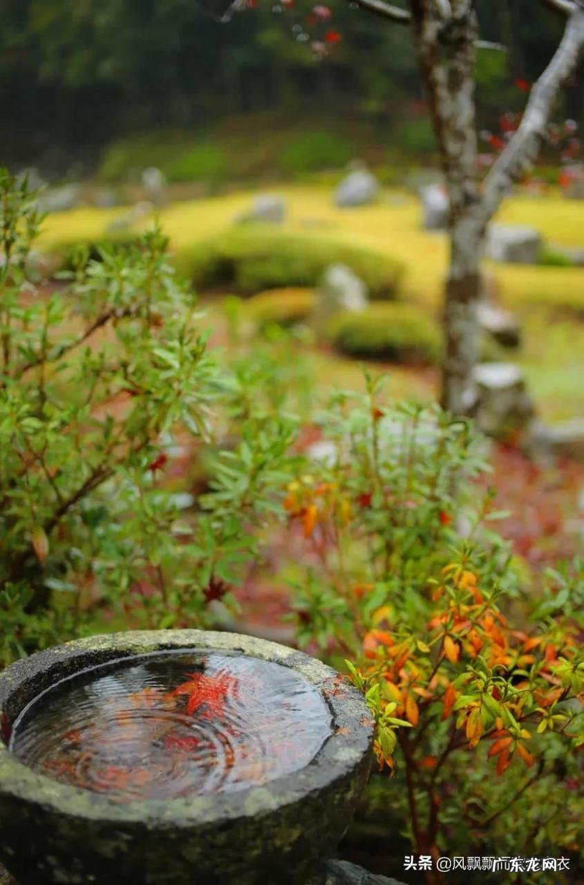 抖音电商带来的影响 抖音给人们带来什么影响