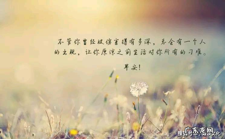 伤心说说短句子 文字 【抖音文案】伤心说说短句子