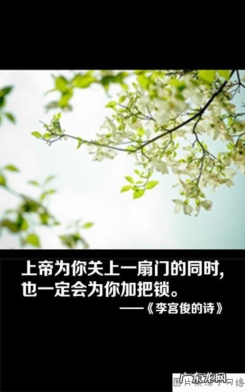 仿写秋风的句子有哪些 【抖音文案】风的句子有哪些