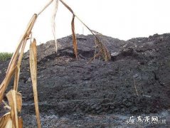 工业三废是指哪三废？工业废渣都有哪些危害？